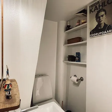 Apartmentincopenhagen 1598 公寓